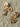 Rodeo Charm Dangle Earrings